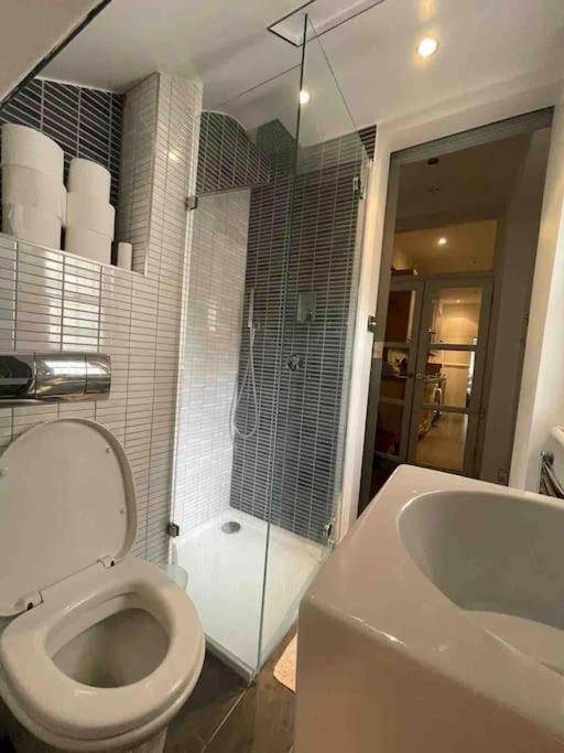 Large Studio Flat In Kensington Λονδίνο Εξωτερικό φωτογραφία